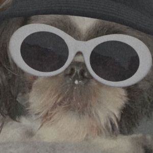 Meet your Posher, Cassidy